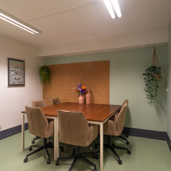 vierkante tafel met 2 stoelen, zachtgroene achterwand  en vloer. hangplanten