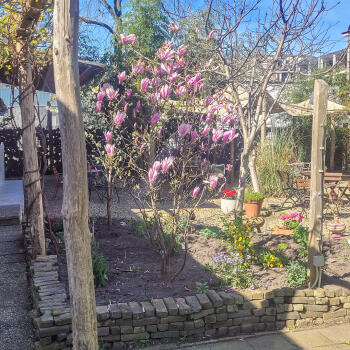 border met magnolia