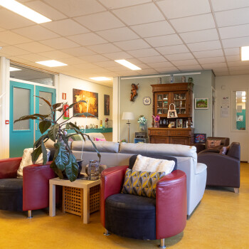 2 clubfauteuils met tafeltje met plant