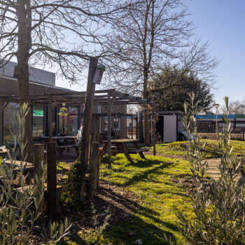 tuin met planten, struiken, gras en picknicktafels