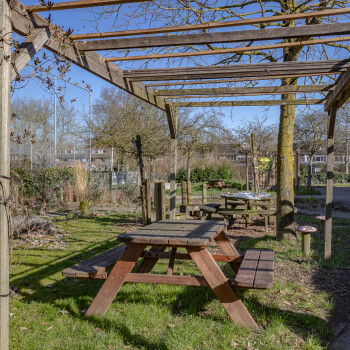 grasveldje met pergola met enkele picknicktafels
