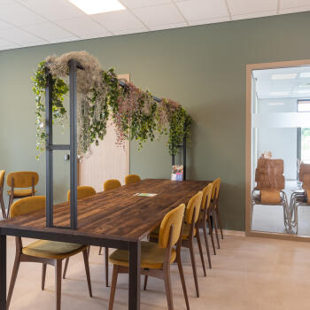 tafel met stoelen, planten
