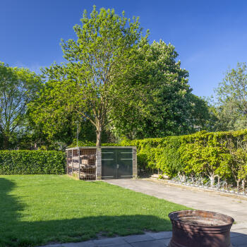 tuin met grasveld, groen, bomen en bestrating