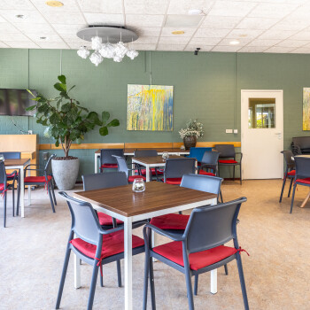 meerdere zitjes: tafel met 4 stoelen , groene achterwand, houtkleurige vloer